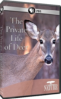 PBS Ȼ ¹ The Private Life of Deer