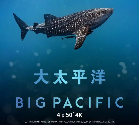 ļ¼Ƭ ̫ƽ Big Pacific Ļ