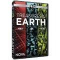 ǣ䱦(PBS: NOVA: Treasures of the Earth)ȫ/W4F/ӢǶӢĻ[HDTV]