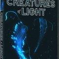ǣ(PBS: NOVA: Creatures of Light)ȫһ/W4F/ӢĻ[HDTV]